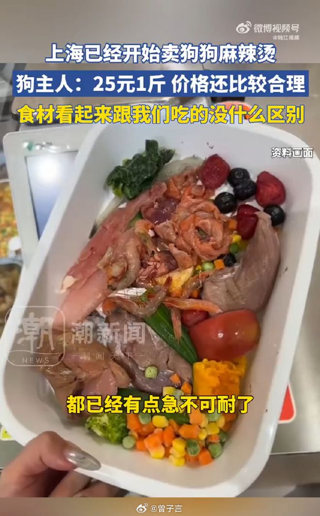 辣烫25一斤全是真肉上海狗有福了！CQ9电子破防了！上海惊现狗狗麻