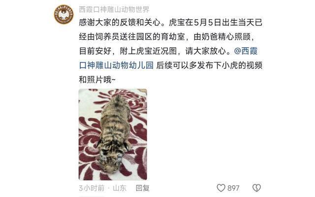 过问？动物园：生下来后就发现了目前安好C